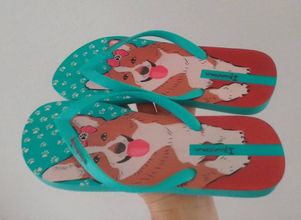 Chinelo Ipanema Pets