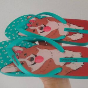 Chinelo Ipanema Pets