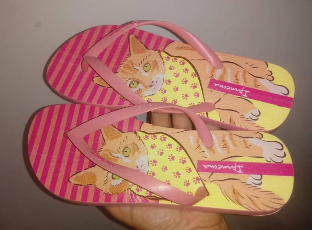 Chinelo Ipanema Pets 26566